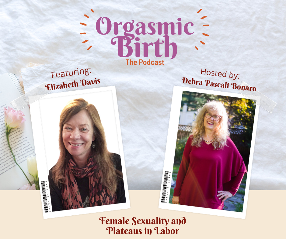 Ep. 35 - Female Sexuality and Plateaus in Labor with Elizabeth Davis