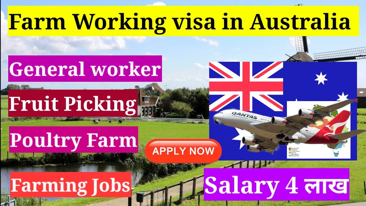 Agriculture work visa in Australia | Poultry farm jobs | uttam online