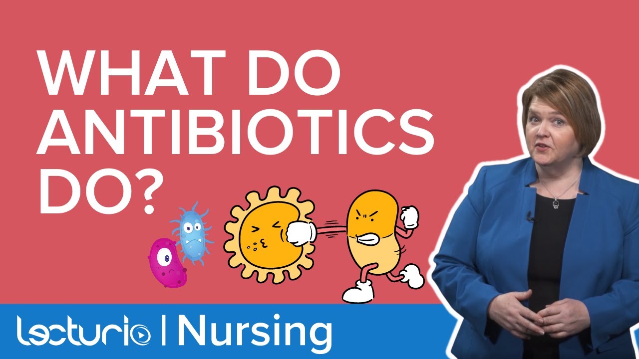 Antibiotics and Bacteria | An Introduction to Anti-Infectives | Pharmacology | Lecturio Nursing
