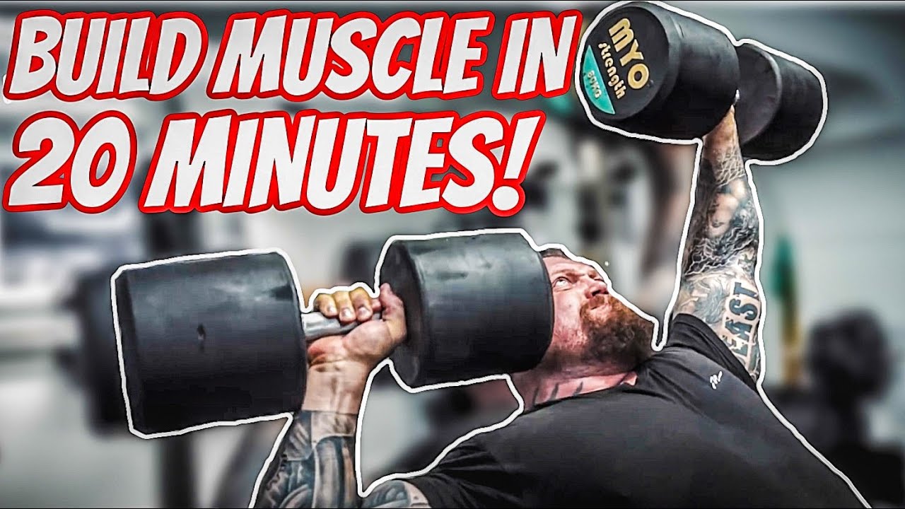 How To Build Muscle in 20 Minutes! | Shoulder Workout