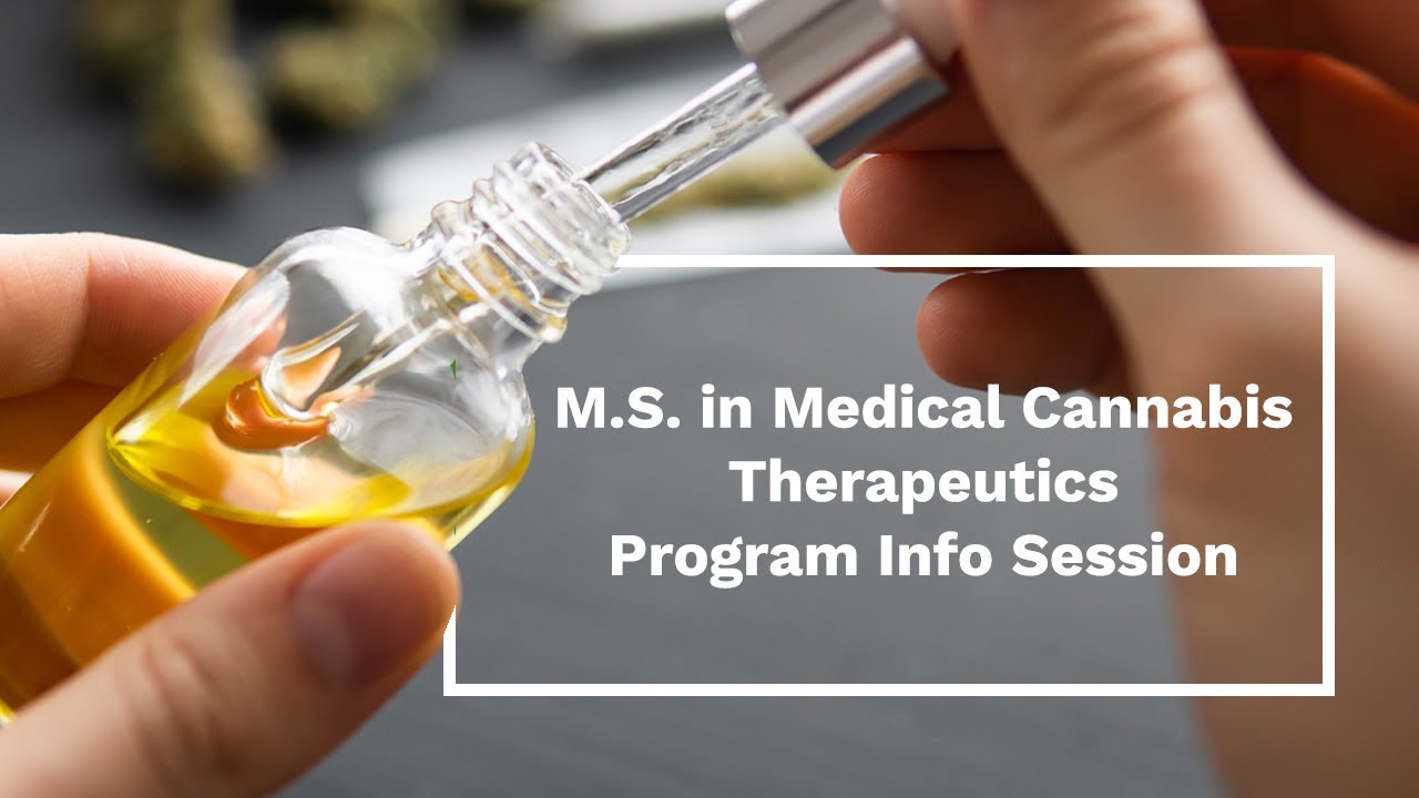 Master of Science in Medical Cannabis Therapeutics Program | Info Session